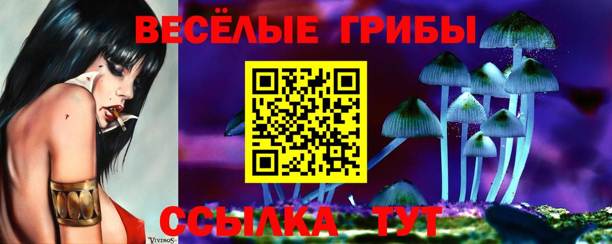Псилоцибиновые грибы MAGIC MUSHROOMS  Галлюциногенные грибы Magic Shrooms  Вход с VPN  Великий Устюг 