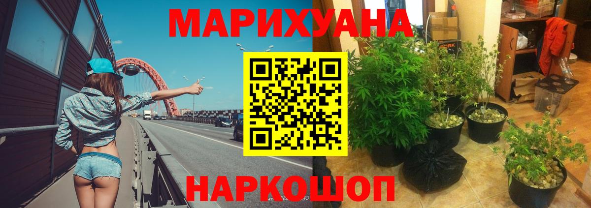 Канабис планчик  Вход с VPN  Великий Устюг  Бошки Шишки Bruce Banner  Бошки марихуана AK-47  Марихуана Ganja 